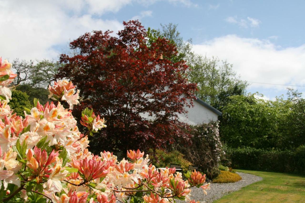 Laich Cottage Appin Exterior foto
